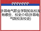 许昌电气职业学院知名校友有哪些，校史介绍(许昌电气院校友校史)