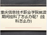 重庆信息技术职业学院就读期间挂科了怎么办呢？(挂科怎么办)