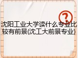 沈阳工业大学读什么专业比较有前景(沈工大前景专业)