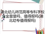 湖北幼儿师范高等专科学校含金量量吗，值得报吗(湖北幼专值得报吗)