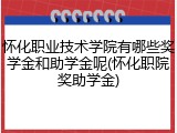 怀化职业技术学院有哪些奖学金和助学金呢(怀化职院奖助学金)