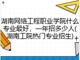 湖南网络工程职业学院什么专业最好，一年招多少人(湖南工院热门专业招生)