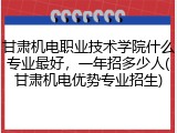 甘肃机电职业技术学院什么专业最好，一年招多少人(甘肃机电优势专业招生)