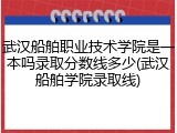 武汉船舶职业技术学院是一本吗录取分数线多少(武汉船舶学院录取线)