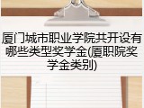 厦门城市职业学院共开设有哪些类型奖学金(厦职院奖学金类别)