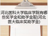 河北医科大学临床学院有哪些奖学金和助学金呢(河北医大临床奖助学金)