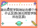 湖北商贸学院地址在哪个市，什么区县(湖北商贸学院所在区县)
