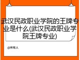 武汉民政职业学院的王牌专业是什么(武汉民政职业学院王牌专业)