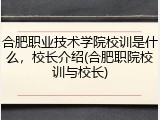 合肥职业技术学院校训是什么，校长介绍(合肥职院校训与校长)