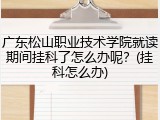 广东松山职业技术学院就读期间挂科了怎么办呢？(挂科怎么办)