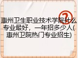惠州卫生职业技术学院什么专业最好，一年招多少人(惠州卫院热门专业招生)