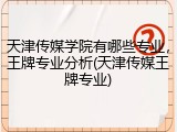 天津传媒学院有哪些专业，王牌专业分析(天津传媒王牌专业)