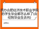 民办合肥经济技术职业学院的学生毕业都怎么样了(合经院毕业生去向)
