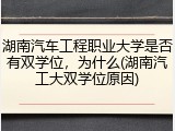 湖南汽车工程职业大学是否有双学位，为什么(湖南汽工大双学位原因)