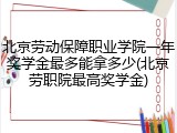 北京劳动保障职业学院一年奖学金最多能拿多少(北京劳职院最高奖学金)