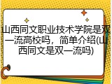 山西同文职业技术学院是双一流高校吗，简单介绍(山西同文是双一流吗)