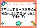 陕西青年职业学院共开设有哪些类型奖学金(陕青院奖学金种类)