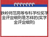 铁岭师范高等专科学校奖学金评定细则是怎样的(奖学金评定细则)