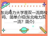 东北电力大学是双一流高校吗，简单介绍(东北电力双一流？简介)