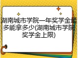 湖南城市学院一年奖学金最多能拿多少(湖南城市学院奖学金上限)