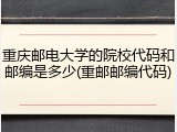 重庆邮电大学的院校代码和邮编是多少(重邮邮编代码)