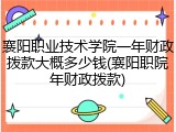 襄阳职业技术学院一年财政拨款大概多少钱(襄阳职院年财政拨款)