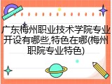 广东梅州职业技术学院专业开设有哪些,特色在哪(梅州职院专业特色)