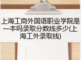 上海工商外国语职业学院是一本吗录取分数线多少(上海工外录取线)