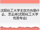 沈阳化工大学主攻方向是什么，怎么样(沈阳化工大学优势专业)