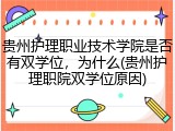 贵州护理职业技术学院是否有双学位，为什么(贵州护理职院双学位原因)
