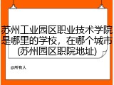 苏州工业园区职业技术学院是哪里的学校，在哪个城市(苏州园区职院地址)