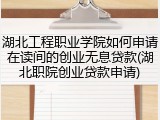 湖北工程职业学院如何申请在读间的创业无息贷款(湖北职院创业贷款申请)