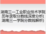 湖南三一工业职业技术学院历年录取分数线深度分析(湖南三一学院分数线解析)