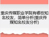 重庆传媒职业学院有哪些知名校友，简单分析(重庆传媒知名校友分析)