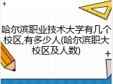 哈尔滨职业技术大学有几个校区,有多少人(哈尔滨职大校区及人数)