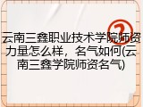 云南三鑫职业技术学院师资力量怎么样，名气如何(云南三鑫学院师资名气)