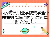 西安海棠职业学院奖学金评定细则是怎样的(西安海棠奖学金细则)
