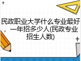 民政职业大学什么专业最好，一年招多少人(民政专业招生人数)