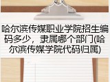 哈尔滨传媒职业学院招生编码多少，隶属哪个部门(哈尔滨传媒学院代码归属)