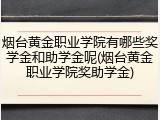 烟台黄金职业学院有哪些奖学金和助学金呢(烟台黄金职业学院奖助学金)