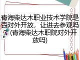 青海柴达木职业技术学院是否对外开放，让进去参观吗？(青海柴达木职院对外开放吗)