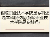 铜陵职业技术学院是专科还是本科院校呢(铜陵职业技术学院是专科吗)