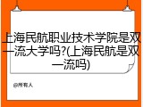 上海民航职业技术学院是双一流大学吗?(上海民航是双一流吗)
