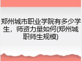 郑州城市职业学院有多少学生，师资力量如何(郑州城职师生规模)