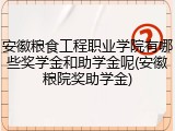 安徽粮食工程职业学院有哪些奖学金和助学金呢(安徽粮院奖助学金)