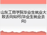 山东工商学院毕业生就业大致去向如何(毕业生就业去向)
