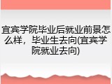 宜宾学院毕业后就业前景怎么样，毕业生去向(宜宾学院就业去向)