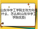 山东华宇工学院主攻方向是什么，怎么样(山东华宇工学院优势)
