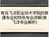 青岛飞洋职业技术学院的普通专业和特色专业详解(青飞洋专业解析)