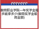 徽商职业学院一年奖学金最多能拿多少(徽商奖学金最高金额)